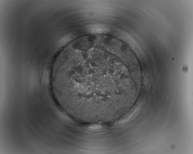 X0000103150357200808221336