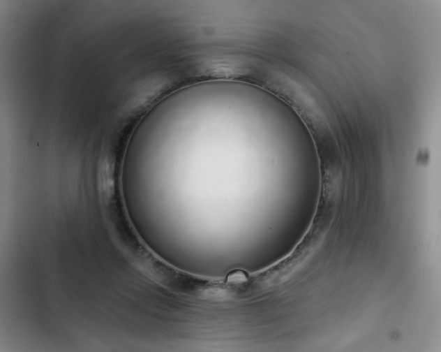 X0000103150358200808221336