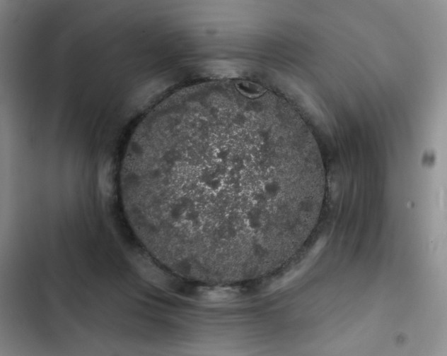 X0000103150359200808221336