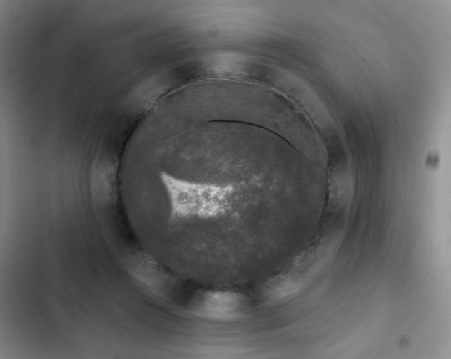 X0000103150360200808221336