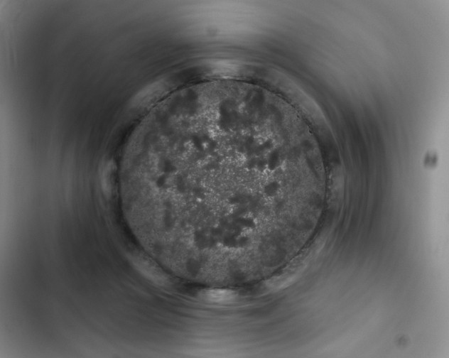 X0000103150361200808221336