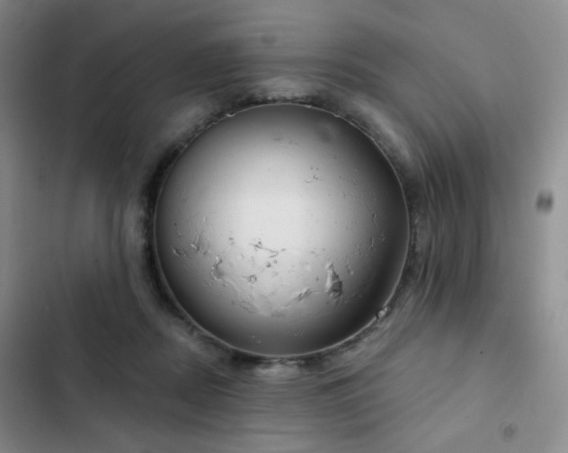 X0000103150362200808221336