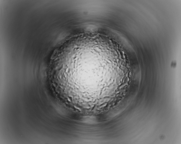 X0000103150363200808221336