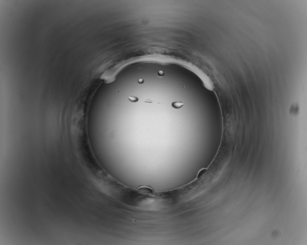 X0000103150364200808221336