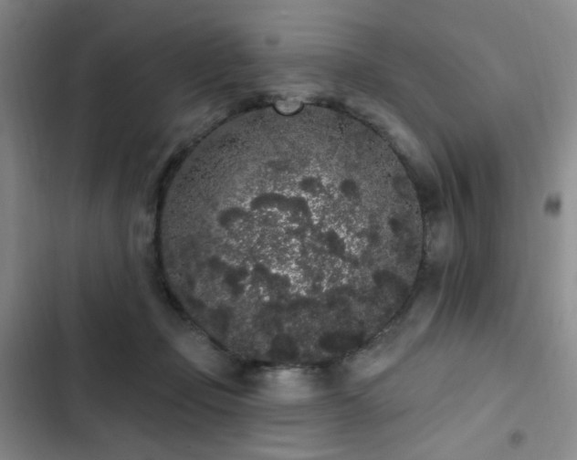 X0000103150365200808221336