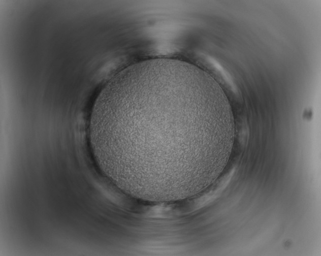 X0000103150366200808221336