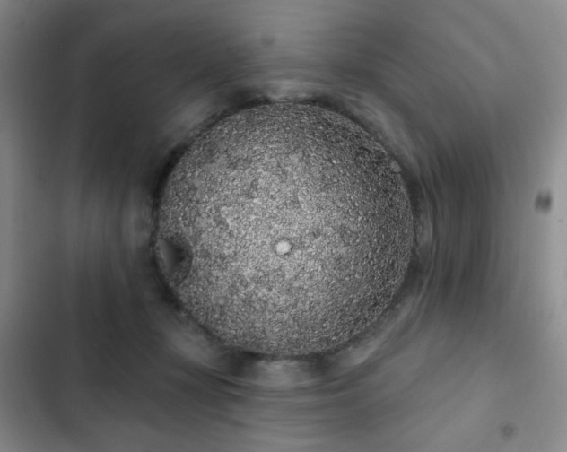 X0000103150367200808221336