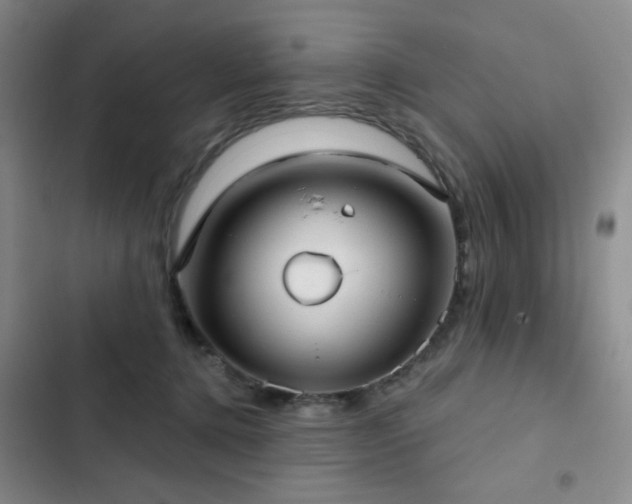 X0000103150368200808221336