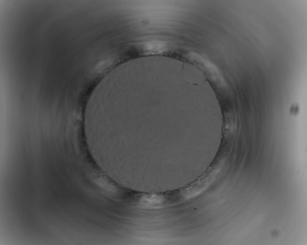 X0000103150369200808221336