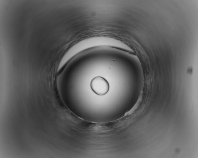 X0000103150372200808221336