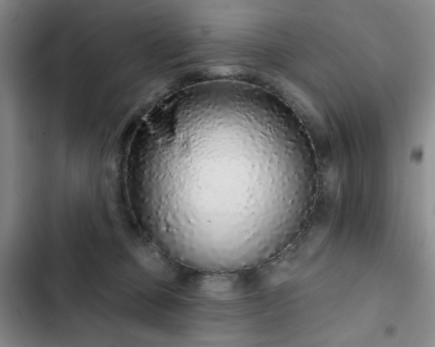 X0000103150373200808221336