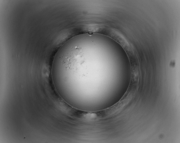 X0000103150374200808221337