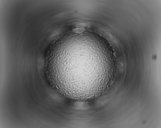 X0000103150375200808221337