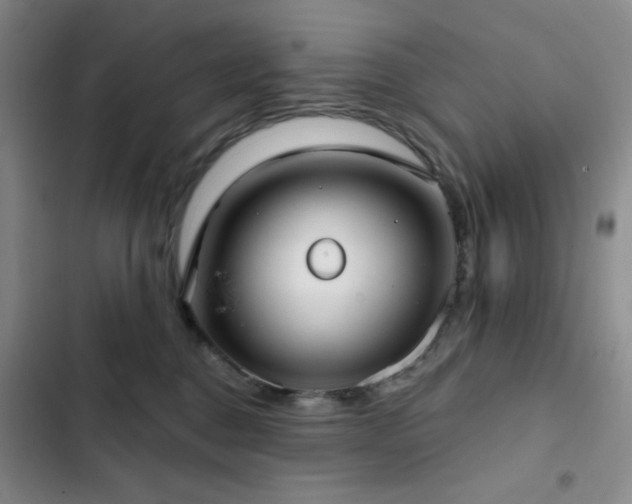 X0000103150376200808221337