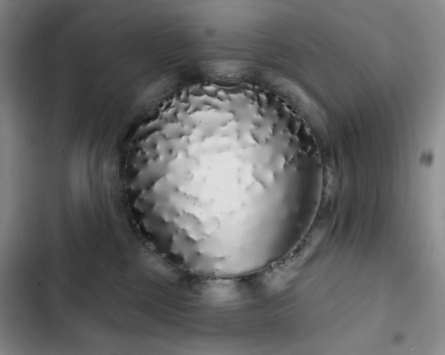 X0000103150377200808221337