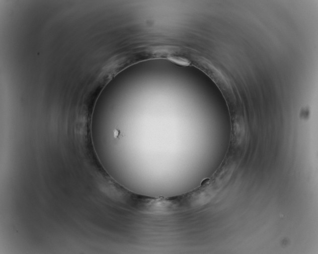 X0000103150379200808221337