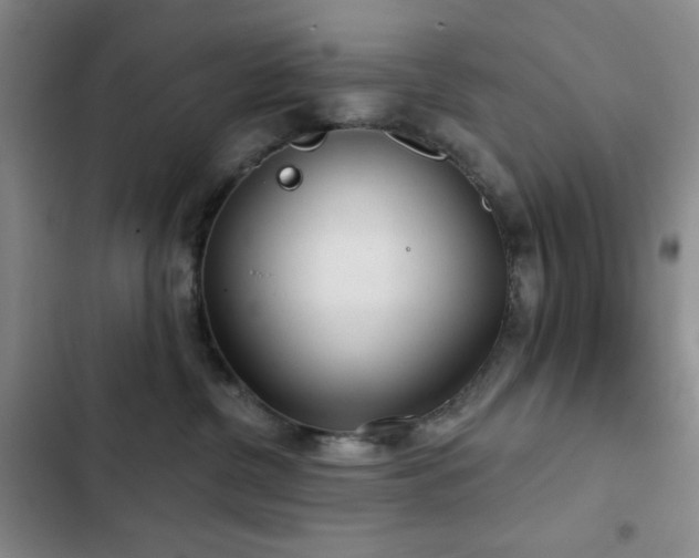 X0000103150380200808221337