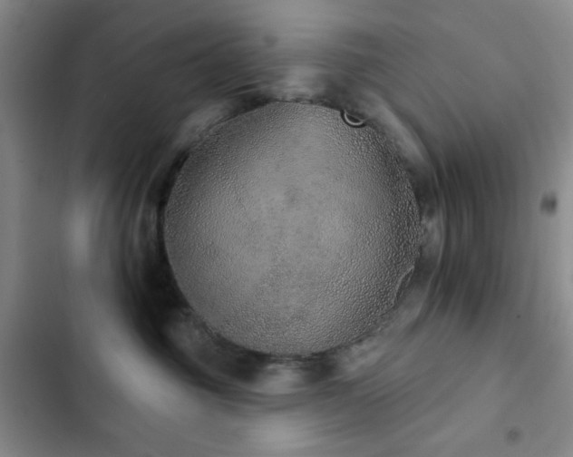 X0000103150381200808221337