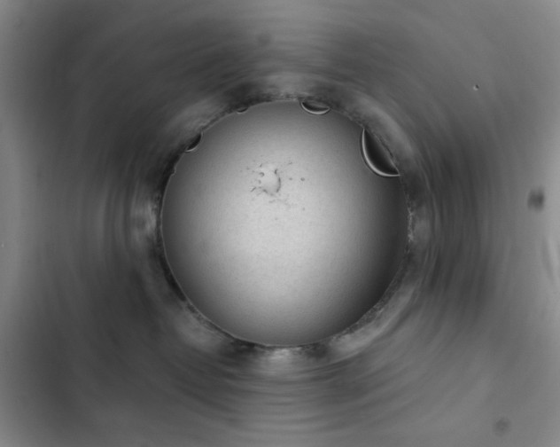 X0000103150382200808221337