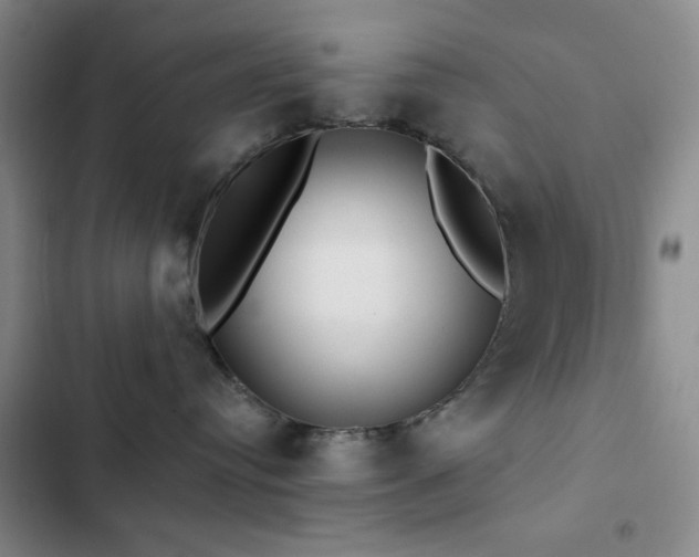 X0000103150384200808221337