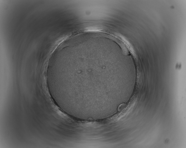 X0000103150385200808221336