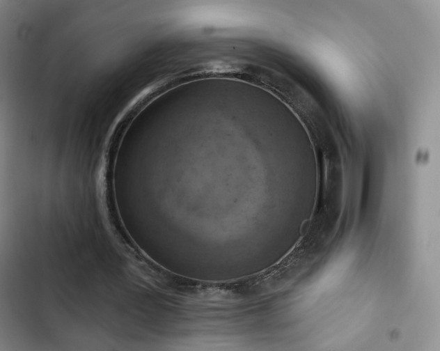 X0000103150387200808221336