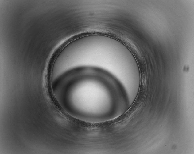 X0000103150388200808221336