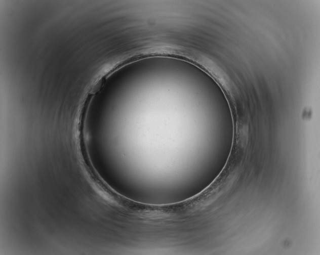 X0000103150389200808221336