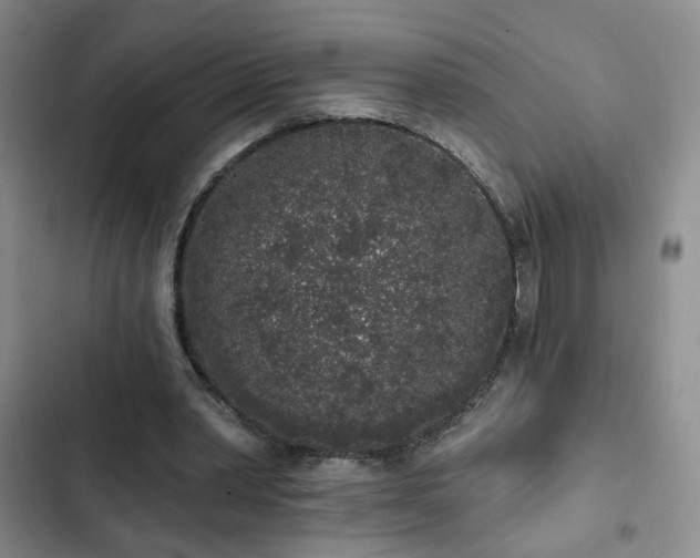 X0000103150390200808221336