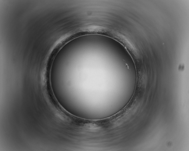 X0000103150392200808221336