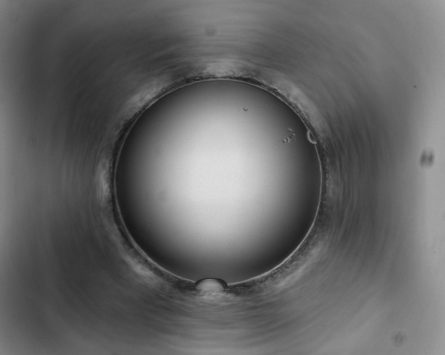 X0000103150393200808221336