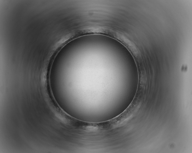 X0000103150394200808221336