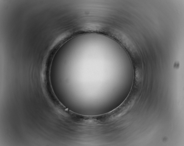 X0000103150396200808221336