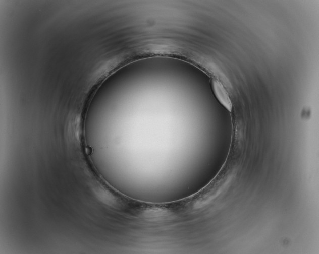 X0000103150397200808221336