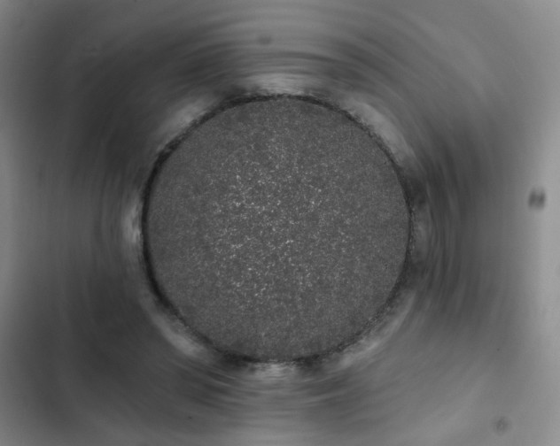 X0000103150398200808221336