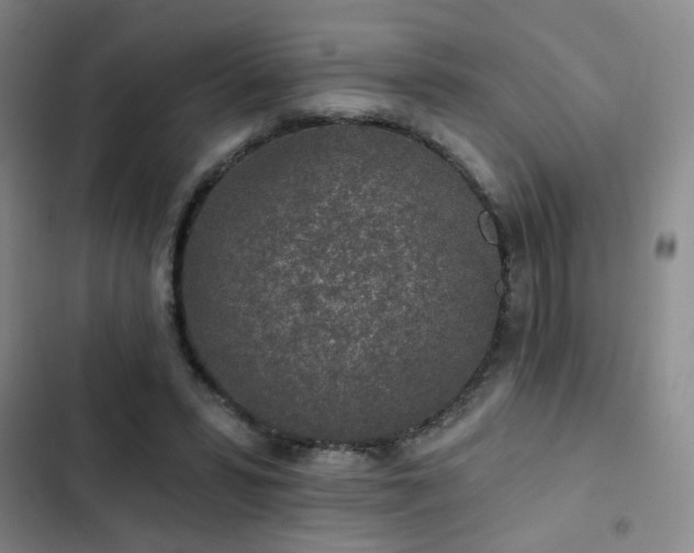 X0000103150399200808221336