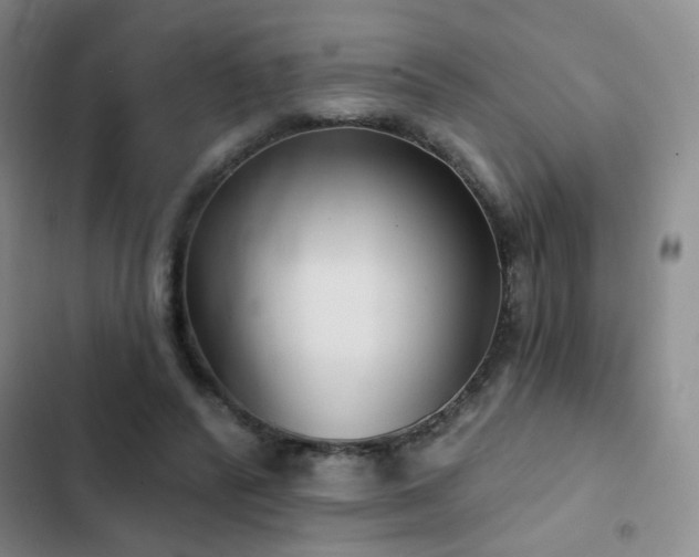 X0000103150400200808221336