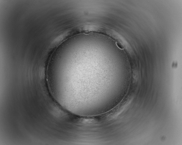 X0000103150401200808221336