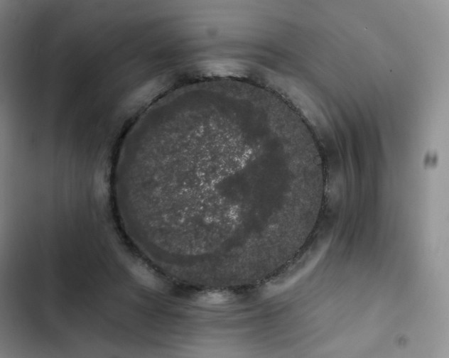 X0000103150402200808221336