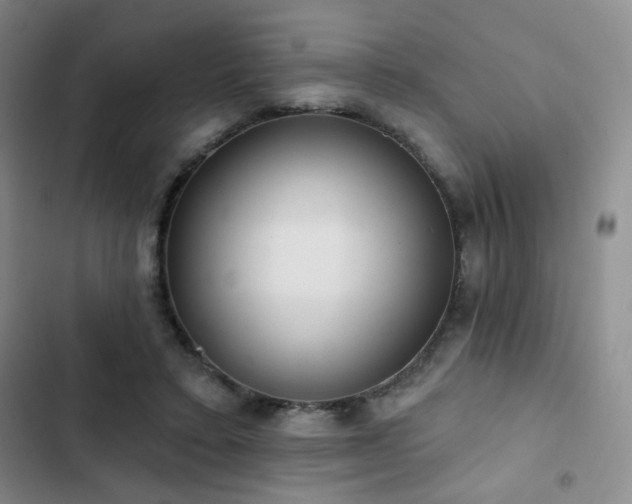 X0000103150403200808221336