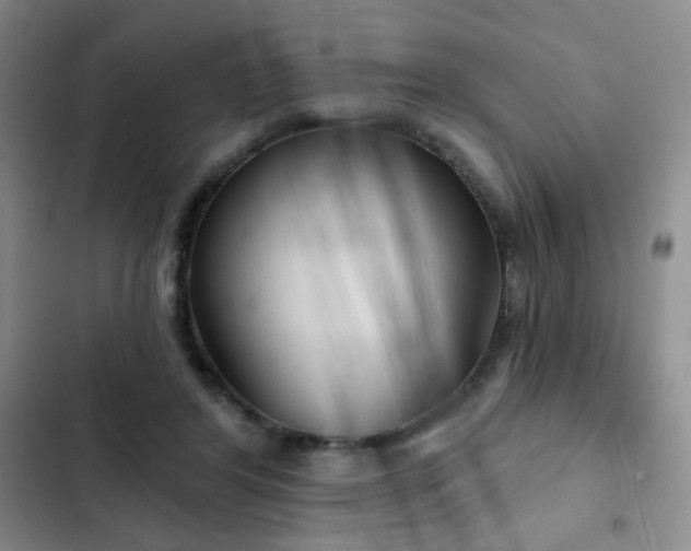 X0000103150404200808221336