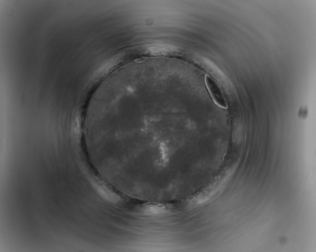 X0000103150405200808221336