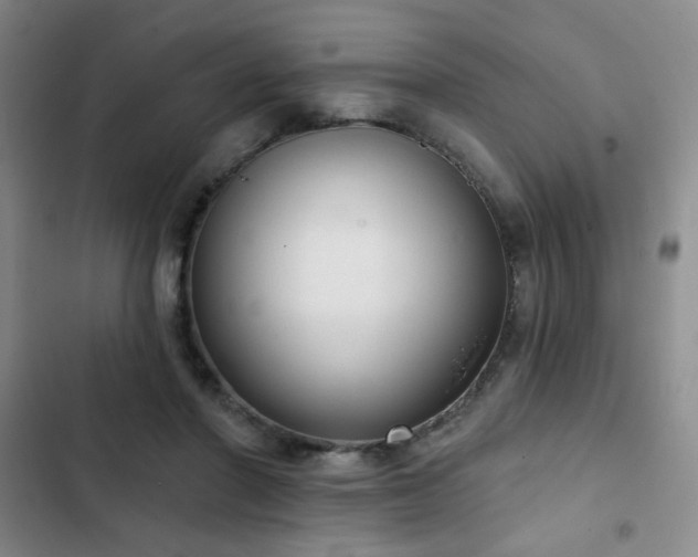 X0000103150406200808221336