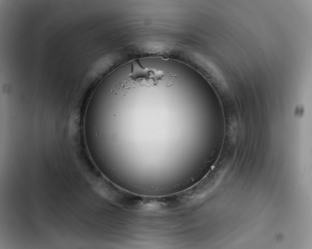 X0000103150407200808221336