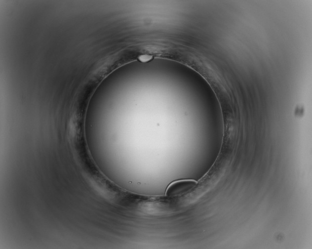 X0000103150408200808221336