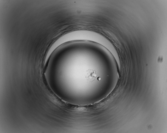 X0000103150409200808221336