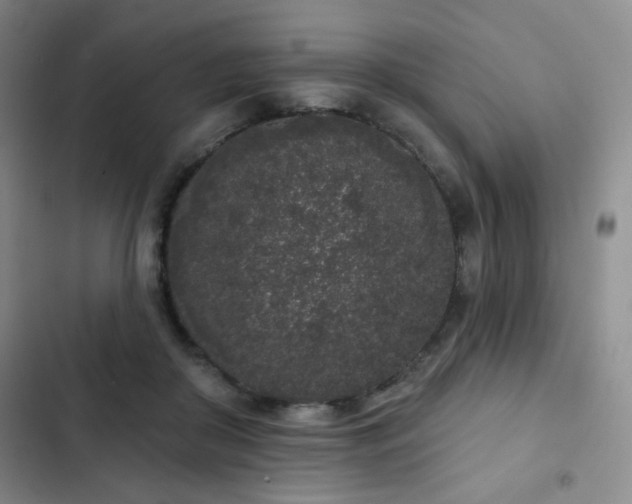 X0000103150410200808221336