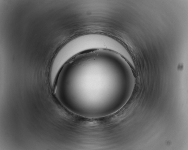 X0000103150411200808221336