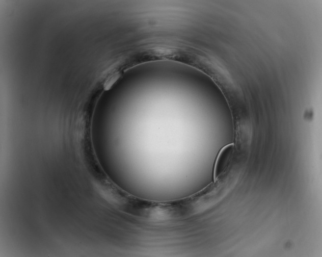 X0000103150412200808221336