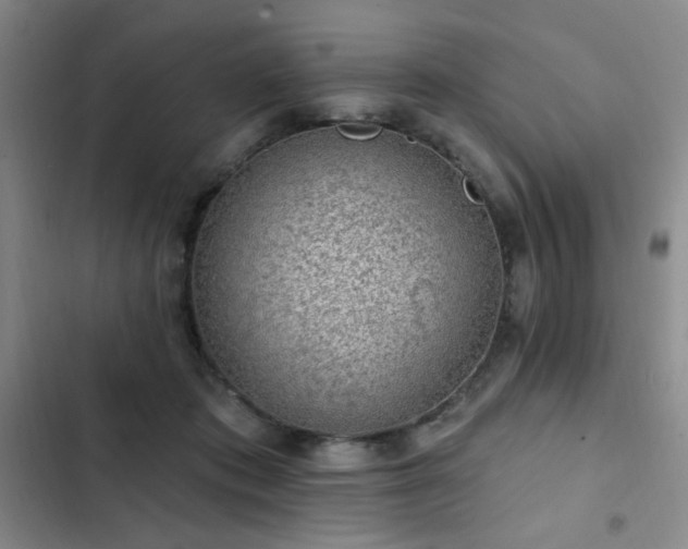 X0000103150413200808221336